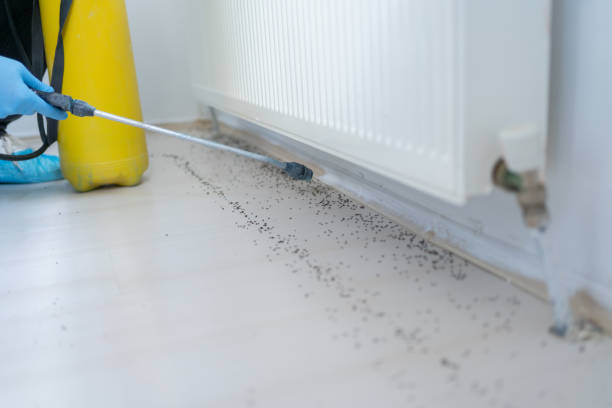 Pest Control Cost in West Fairview, PA