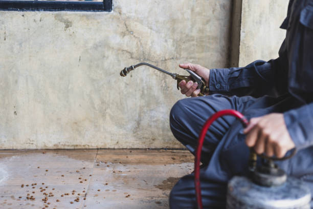 Best Local Pest Control Services  in West Fairview, PA