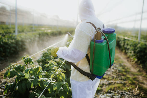 Wildlife Control Services in West Fairview, PA